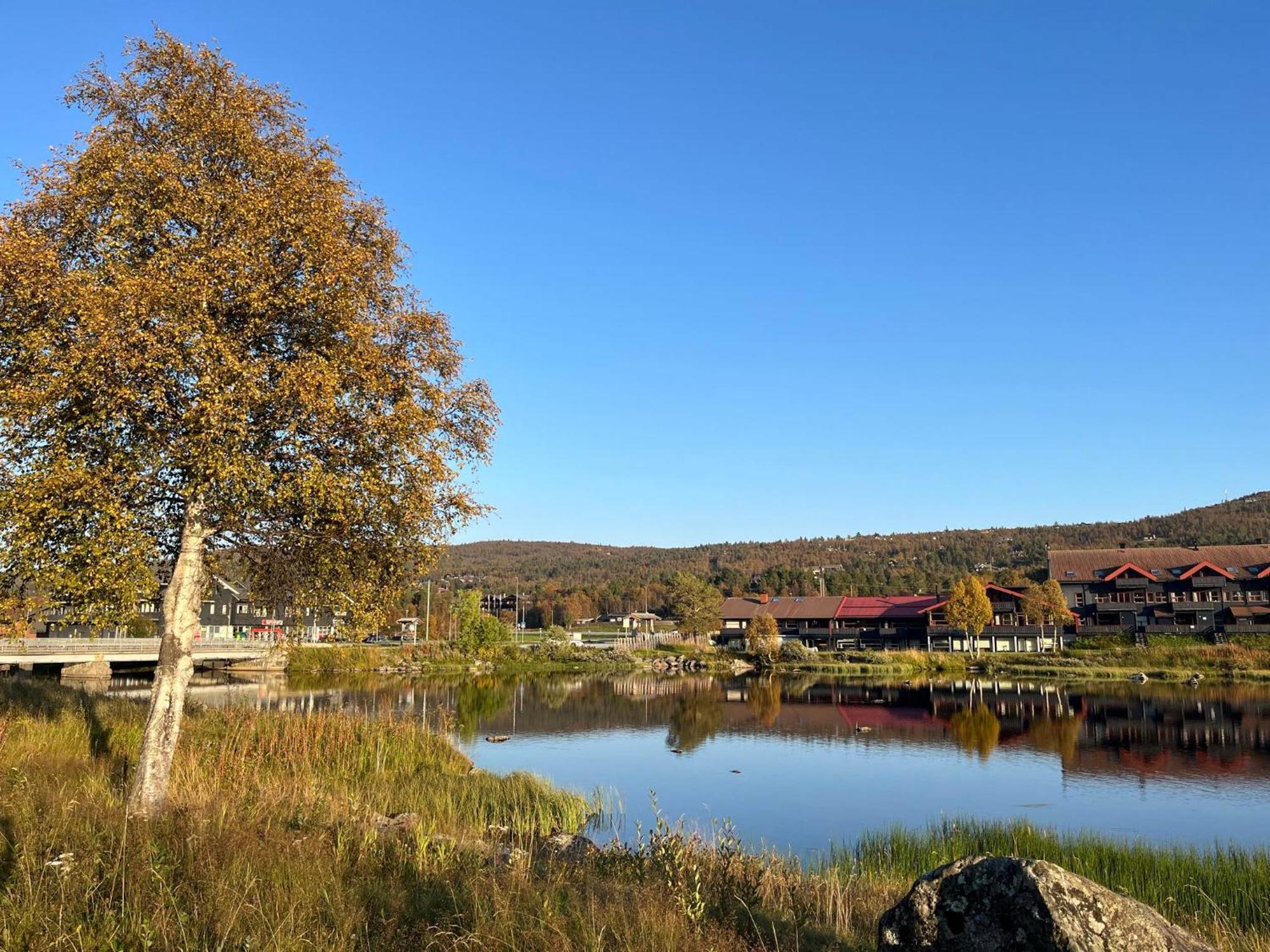 Sentral Leilighet Pa Geilo Luaran gambar